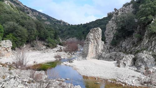 Lit du Rio 'e Forru et de la nature environnante