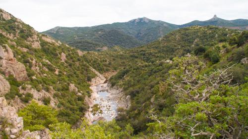 Riverbed Rio 'e Forru seen from above