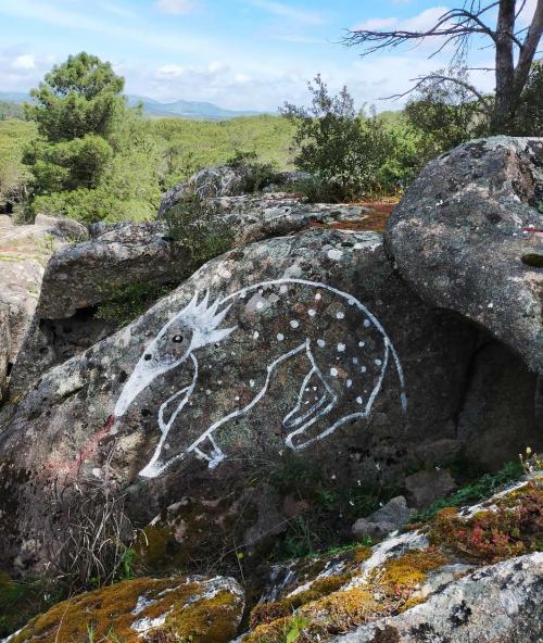 Painted rock