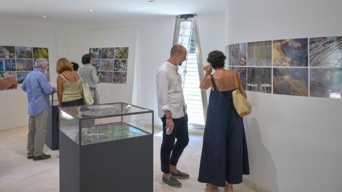 Besucher sehen sich während der Ausstellung Fotos an