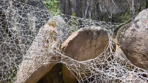 Installation in the woods