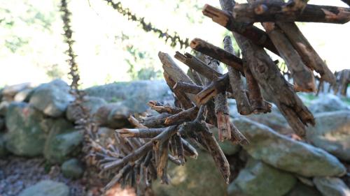 Dettaglio installazione della mostra Organica