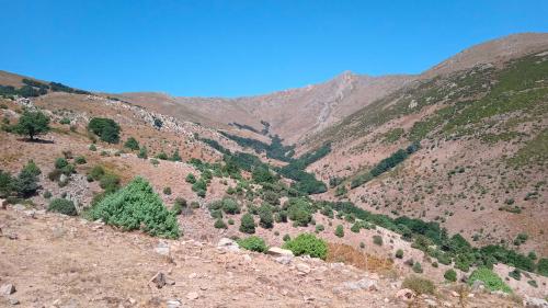 Le mont Gennargentu vu du côté d'Arzana