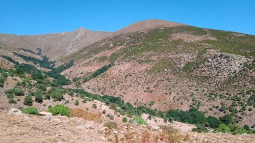 Landschaft des Berges Gennargentu