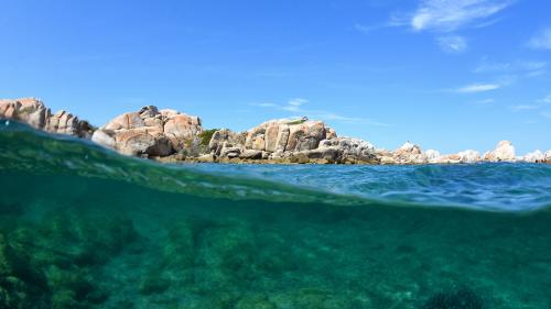 Mare cristallino in cui fare snorkeling nel sud della Corsica