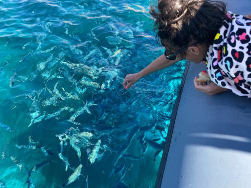 Escursionista in gommone durante tour dà da mangiare ai pesci che nuotano in un mare cristallino