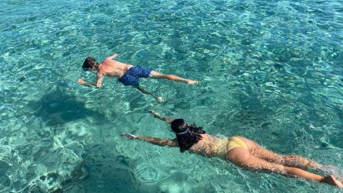 <p>Touristen während Touren auf Korsika baden in einem türkisfarbenen Meer</p><p><br></p>