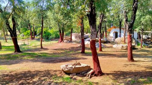 Farm in the territory of Arzana