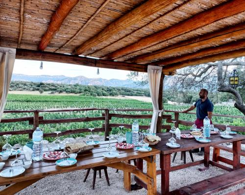 Dorgali vineyard with panoramic mountain views