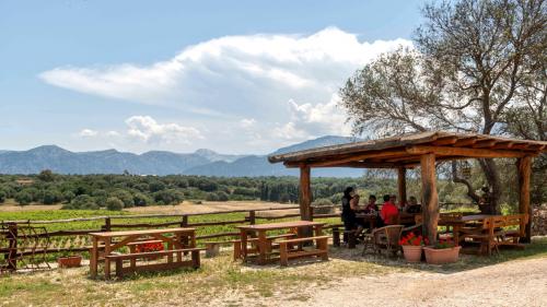 Viñedo de Dorgali con vistas panorámicas a la montaña