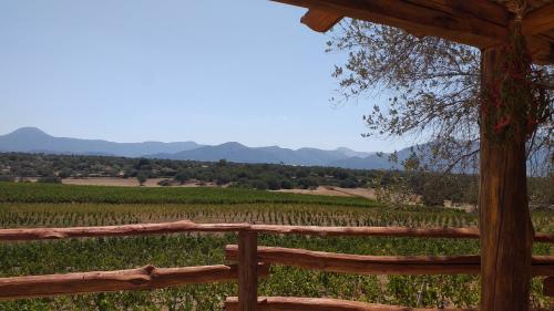 Weinberg von Dorgali mit Panoramablick auf die Berge