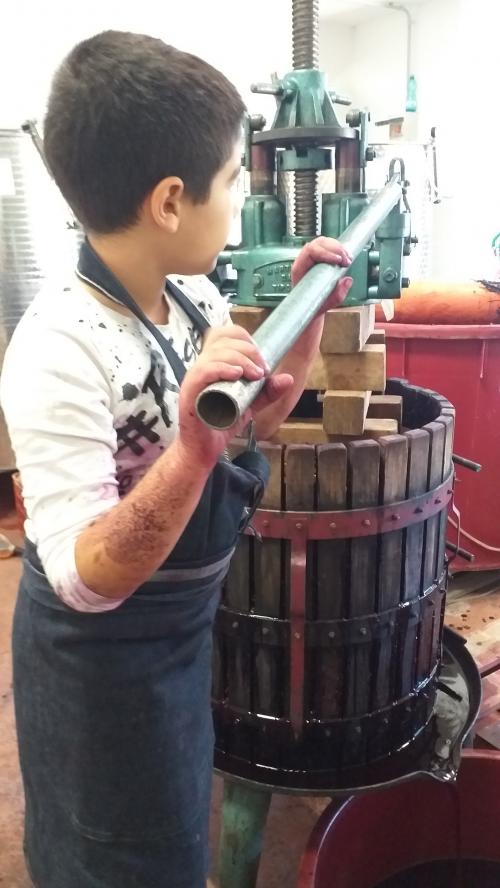 wine making