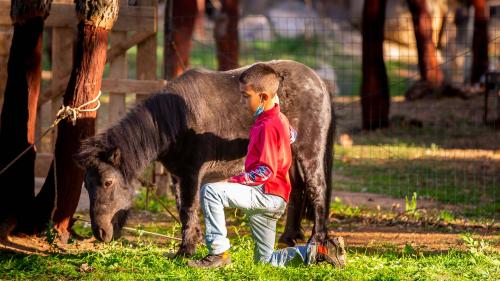 Kind mit Pferd auf einem Bauernhof in Arzana