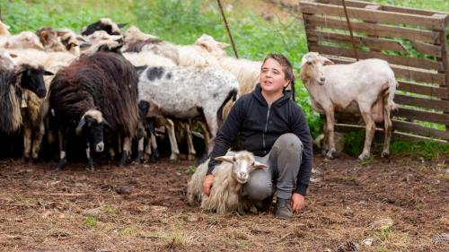 Ein Kind streichelt ein Schaf auf einem Bauernhof in der Nähe von Gennargentu