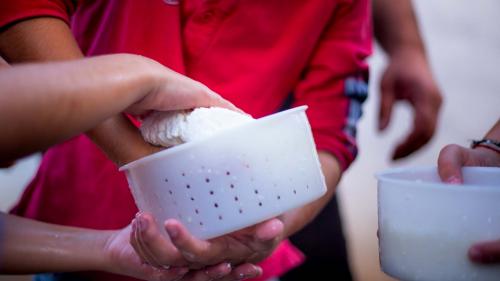 Freshly made cottage cheese on a farm in Arzana