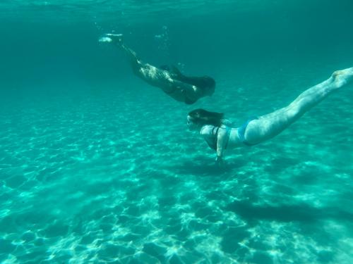 Escursionisti nuotano nei fondali del Golfo di Cagliari durante tour in gommone