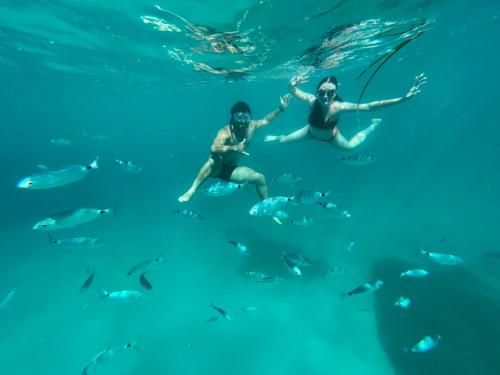 <p>Randonneurs nager dans les profondeurs du Golfe de Cagliari pendant des excursions en bateau</p><p><br></p>