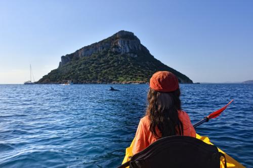 <p>Touristen Kajakfahren im Morgengrauen in Golfo Aranci</p><p><br></p>