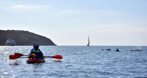 <p>Touristen Kajakfahren im Morgengrauen in Golfo Aranci</p><p><br></p>
