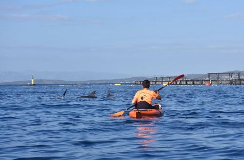 <p>Touristisches Kajakfahren im Meer von Golfo Aranci</p><p><br></p>