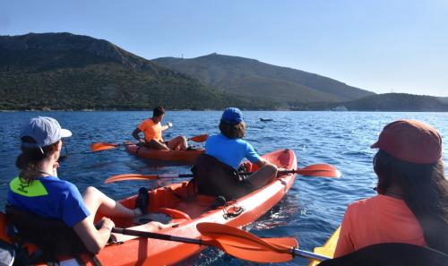 <p>Gruppe von Touristen mit dem Kajak im Golfo Aranci Bereich</p><p><br></p>