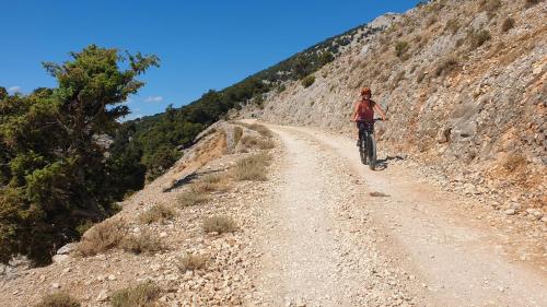 Escursione in bici elettrica nel Supramonte