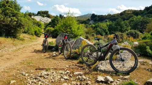 Bici elettriche nel Supramonte