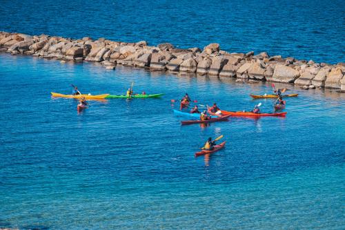 <p>Gruppe von Menschen Kajak paddeln im Meer vor den Süßwasserstränden</p><p><br></p>