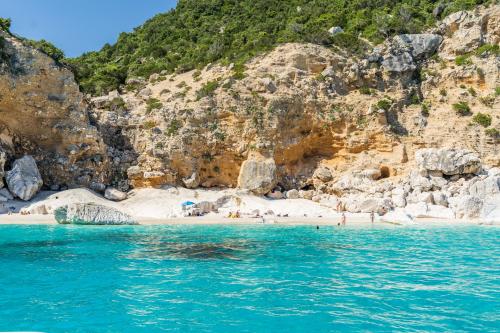 <p>Beach to relax during boat tours</p><p><br></p>