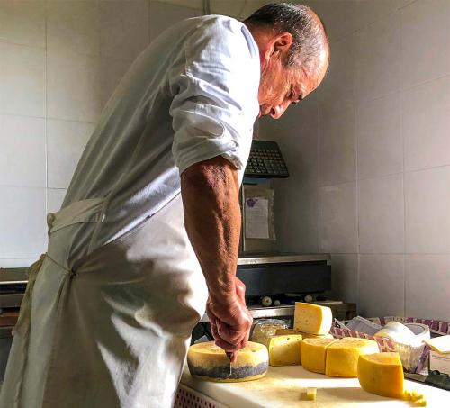 <p>Shepherd in Fordongianus makes cheese</p>