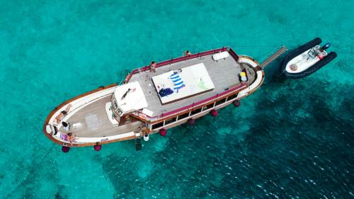 Top view of the motor vessel Apollo II