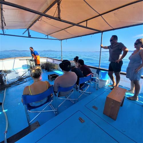 <p>Demonstration of fishing with expert fisherman in the Gulf of Alghero</p><p><br></p>