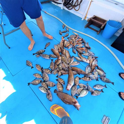 <p>Captura del día con ollas durante la demostración de pesca con tour en barco en Alghero</p><p><br></p>