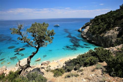 <p>Gulf of Orosei and turquoise sea</p><p><br></p>