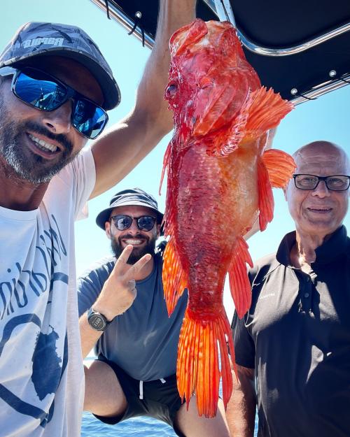 Freshly caught fish on board an inflatable boat during fishing excursion with local expert fisherman