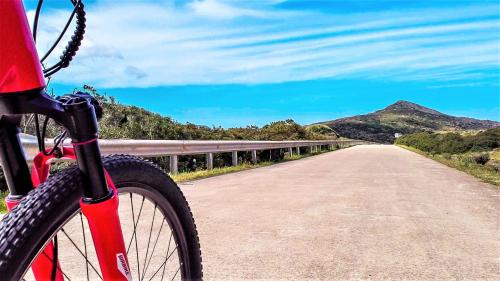 Bici elettrica durante tour autonomo con noleggio alla scoperta del selvaggio Parco Nazionale dell'Asinara