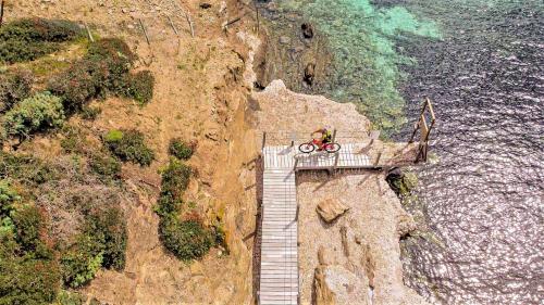 Bicicleta eléctrica durante recorrido autónomo con alquiler para descubrir el salvaje Parque Nacional de AsinaraVélo électrique lors d'un circuit autonome avec location pour découvrir le parc national sauvage de l'Asinara