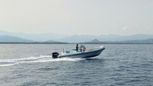 Inflatable boat sails into the Gulf of Orosei from Arbatax