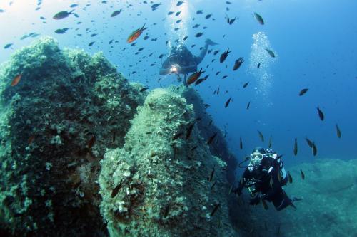 Diving during a dinghy tour in the Tavolara Marine Protected Area