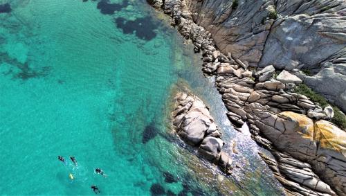 Esperienza con snorkeling e immersione con tour in gommone nell'Area Marina Protetta di Tavolara