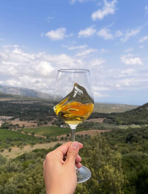 Verre de vin blanc et arrière-plan de la région de Dorgali