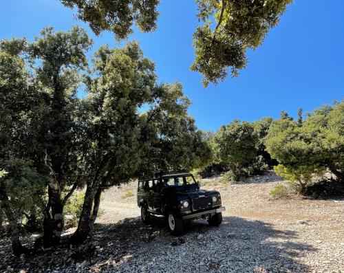 4x4 jeep in nature<br>