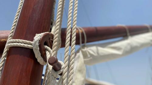 Boat ropes tied to the mast