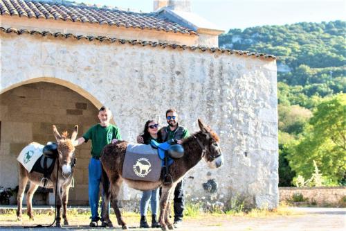 Führer mit Esel bei einer Trekkingtour im Nordwesten Sardiniens