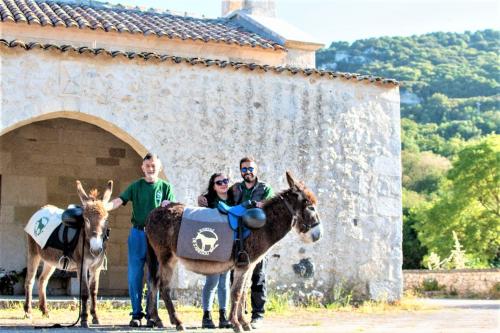 Guida con asino durante escursione di trekking nel nord ovest Sardegna 