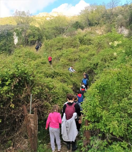 Senderismo guiado en burro por la naturaleza verde de la zona de Cargeghe