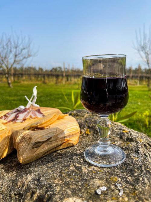 Weine und Aperitifs, serviert im Weinberg inmitten der Natur in der Gegend von Alghero