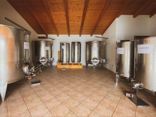 Cellar of a winery in the Alghero area