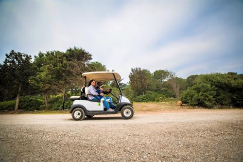 Location de voitures électriques dans le parc de Porto Conte