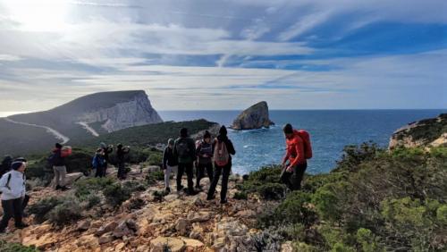 Panorama of the island of Foradada in the territory of Alghero